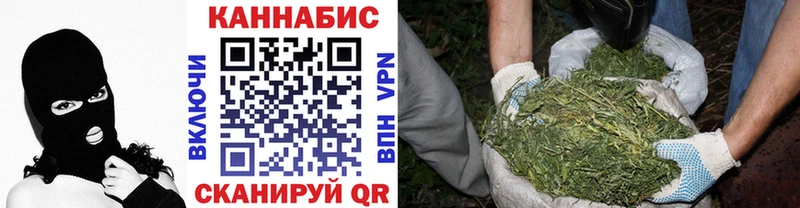 купить наркотик  Кувшиново  blacksprut как зайти  Канабис ГИДРОПОН 